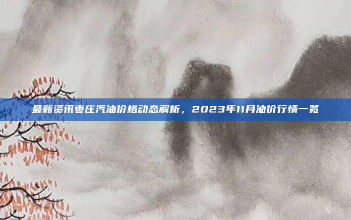 最新资讯枣庄汽油价格动态解析,2023年11月油价行情一览