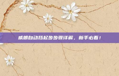 威朗自动挡起步步骤详解,新手必看!