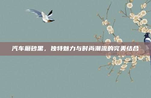 汽车磨砂黑,独特魅力与时尚潮流的完美结合