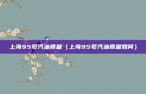 上海95号汽油质量（上海95号汽油质量如何）