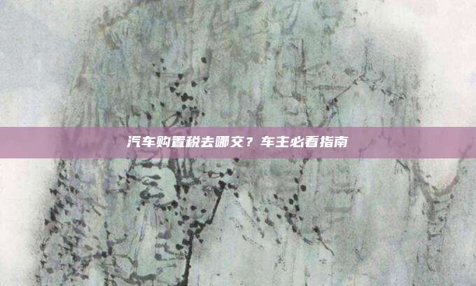 汽车购置税去哪交?车主必看指南