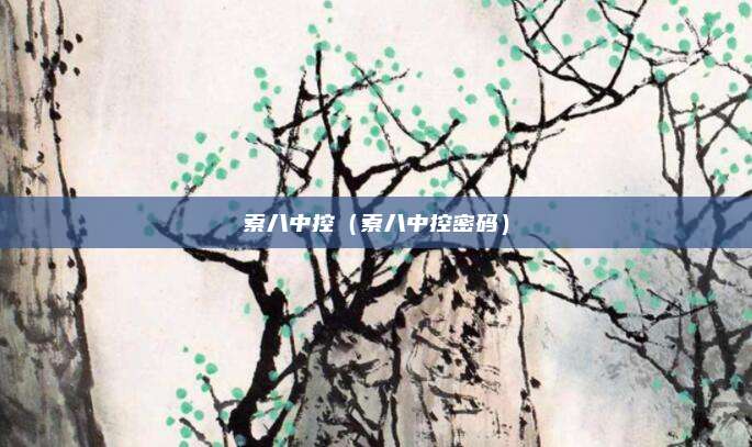 索八中控（索八中控密码）