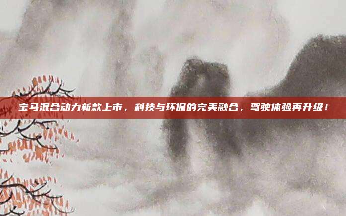 宝马混合动力新款上市,科技与环保的完美融合,驾驶体验再升级!