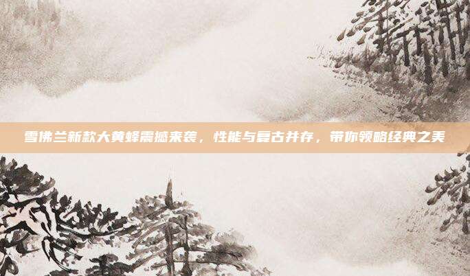 雪佛兰新款大黄蜂震撼来袭,性能与复古并存,带你领略经典之美