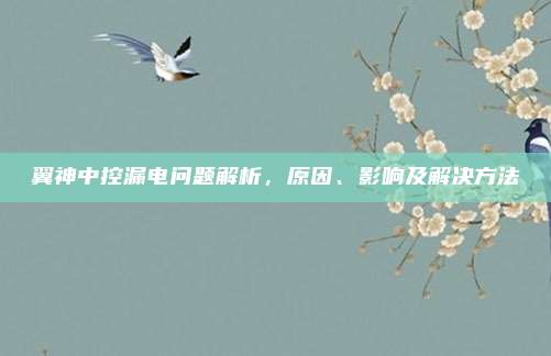 翼神中控漏电问题解析,原因、影响及解决方法
