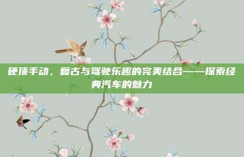 硬顶手动,复古与驾驶乐趣的完美结合——探索经典汽车的魅力