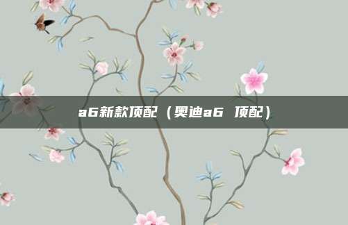 a6新款顶配（奥迪a6 顶配）