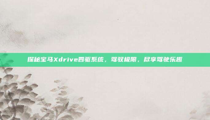 探秘宝马Xdrive四驱系统,驾驭极限,尽享驾驶乐趣
