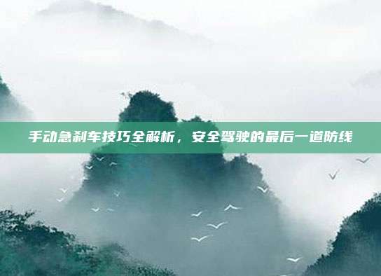 手动急刹车技巧全解析,安全驾驶的最后一道防线