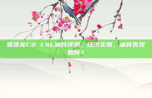 雪铁龙C2 1.4L油耗评测，经济实用，油耗表现如何？