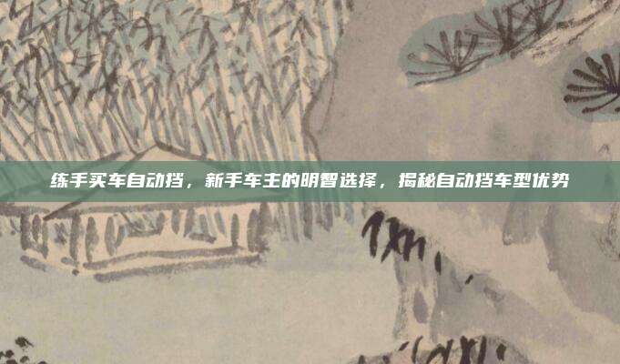 练手买车自动挡，新手车主的明智选择，揭秘自动挡车型优势