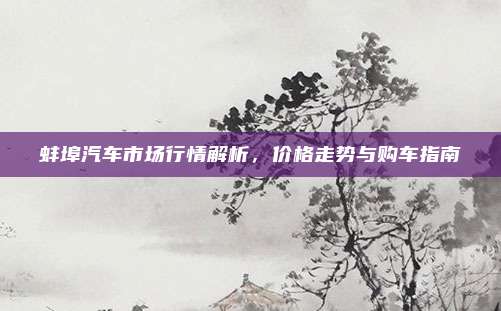蚌埠汽车市场行情解析,价格走势与购车指南