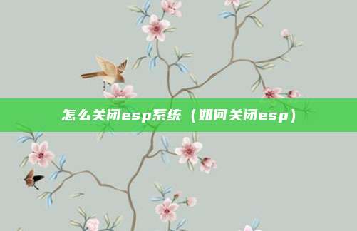 怎么关闭esp系统(如何关闭esp)