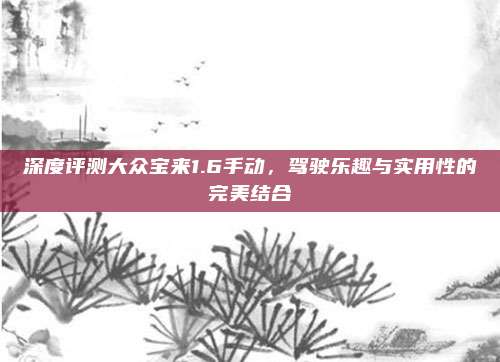 深度评测大众宝来1.6手动,驾驶乐趣与实用性的完美结合