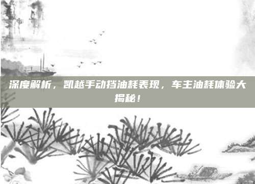 深度解析,凯越手动挡油耗表现,车主油耗体验大揭秘!