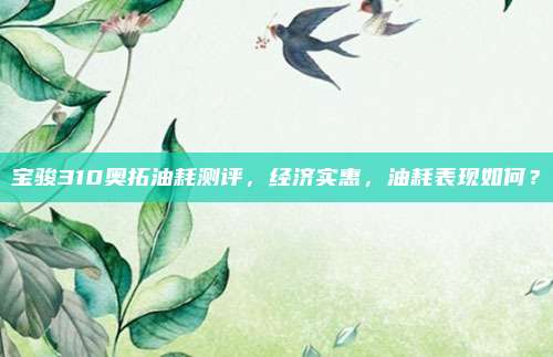 宝骏310奥拓油耗测评,经济实惠,油耗表现如何?