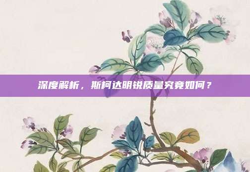 深度解析,斯柯达明锐质量究竟如何?