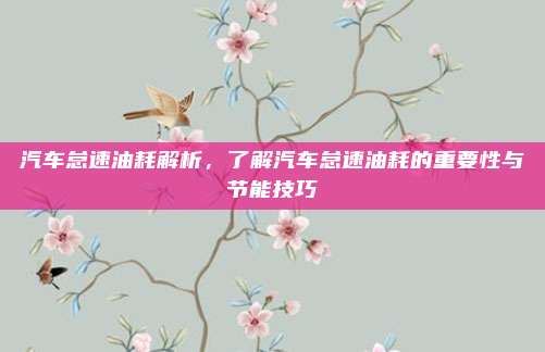 汽车怠速油耗解析,了解汽车怠速油耗的重要性与节能技巧