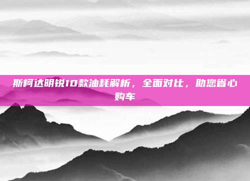 斯柯达明锐10款油耗解析，全面对比，助您省心购车