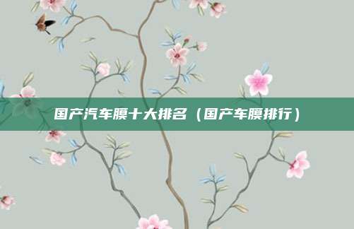 国产汽车膜十大排名（国产车膜排行）