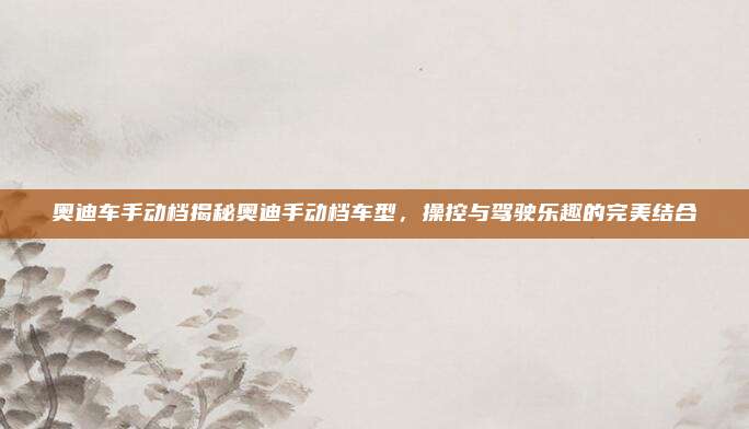 奥迪车手动档揭秘奥迪手动档车型,操控与驾驶乐趣的完美结合