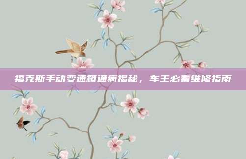 福克斯手动变速箱通病揭秘,车主必看维修指南