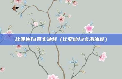 比亚迪f3真实油耗（比亚迪f3实测油耗）