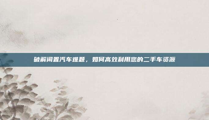 破解闲置汽车难题,如何高效利用您的二手车资源