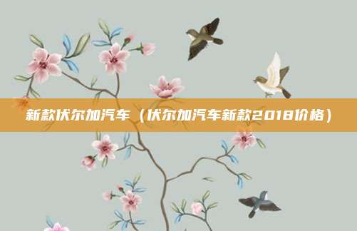新款伏尔加汽车（伏尔加汽车新款2018价格）