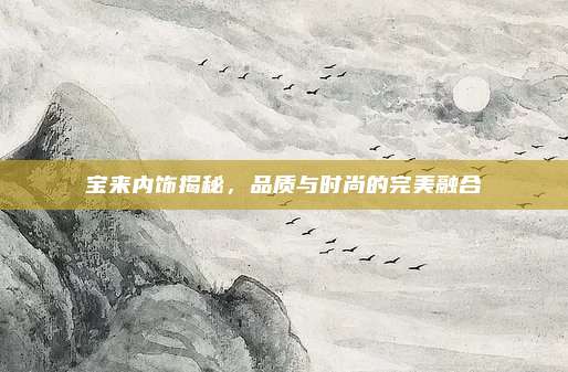 宝来内饰揭秘,品质与时尚的完美融合