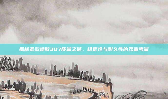 揭秘老款标致307质量之谜,稳定性与耐久性的双重考量