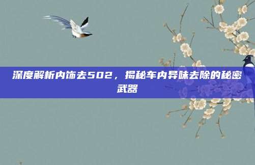 深度解析内饰去502,揭秘车内异味去除的秘密武器
