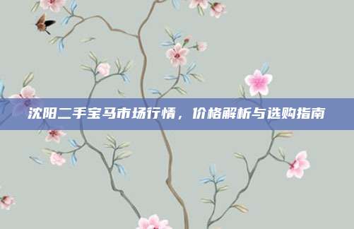 沈阳二手宝马市场行情,价格解析与选购指南