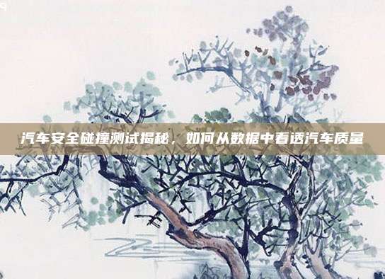 汽车安全碰撞测试揭秘,如何从数据中看透汽车质量