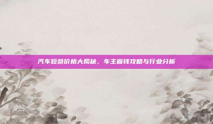 汽车短参价格大揭秘,车主省钱攻略与行业分析