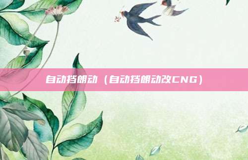 自动挡朗动（自动挡朗动改CNG）