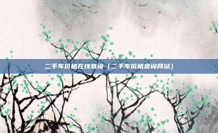 二手车价格在线查询（二手车价格查询网站）