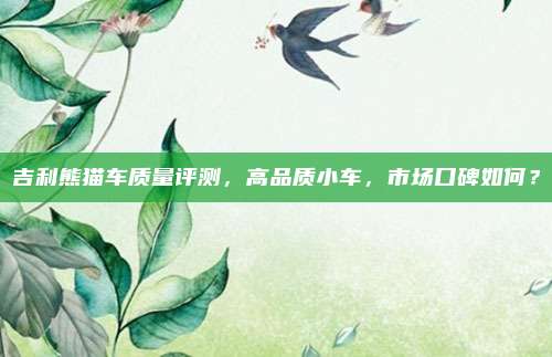 吉利熊猫车质量评测,高品质小车,市场口碑如何?