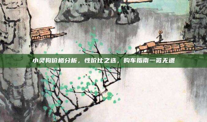 小灵狗价格分析,性价比之选,购车指南一览无遗