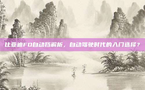 比亚迪FO自动挡解析,自动驾驶时代的入门选择?