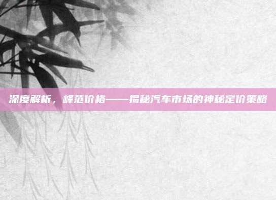 深度解析,峰范价格——揭秘汽车市场的神秘定价策略