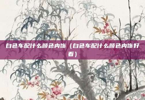 白色车配什么颜色内饰（白色车配什么颜色内饰好看）