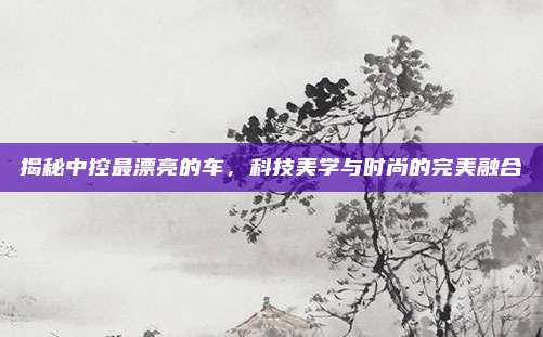 揭秘中控最漂亮的车,科技美学与时尚的完美融合