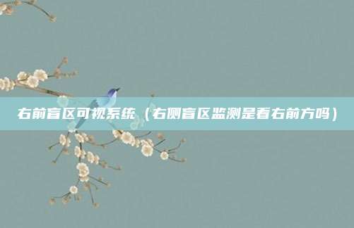 右前盲区可视系统（右侧盲区监测是看右前方吗）