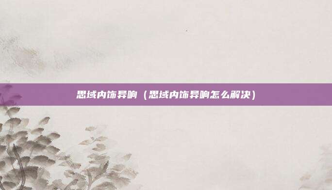思域内饰异响（思域内饰异响怎么解决）