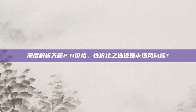 深度解析天籁2.0价格,性价比之选还是市场风向标?