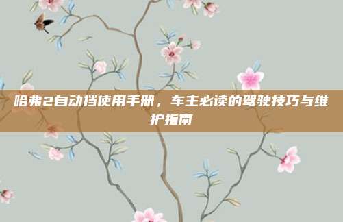 哈弗2自动挡使用手册，车主必读的驾驶技巧与维护指南