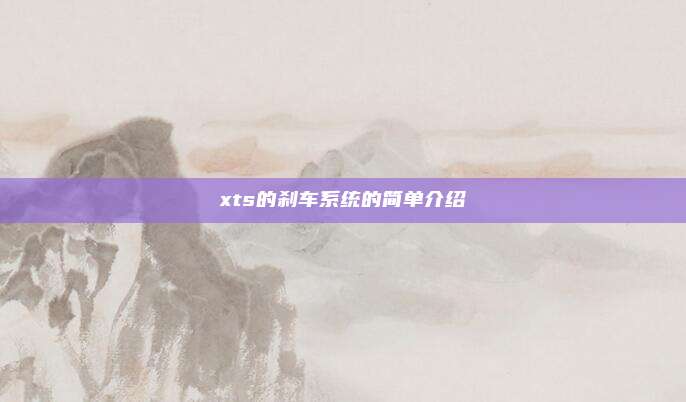 xts的刹车系统的简单介绍