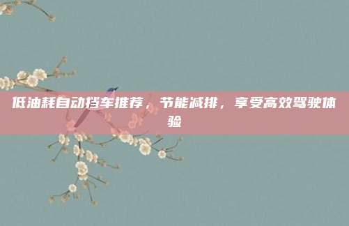 低油耗自动挡车推荐,节能减排,享受高效驾驶体验