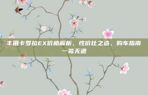 丰田卡罗拉EX价格解析,性价比之选,购车指南一览无遗